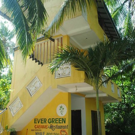 Ever Green Mirissa Exterior foto