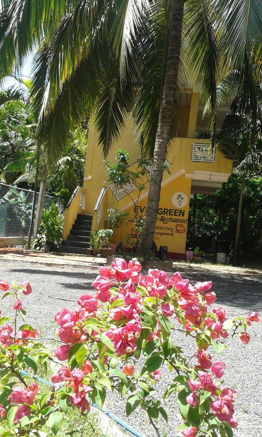 Ever Green Mirissa Exterior foto