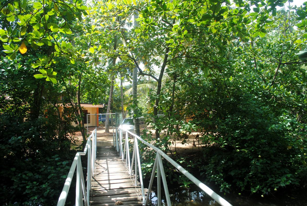 Ever Green Mirissa Exterior foto