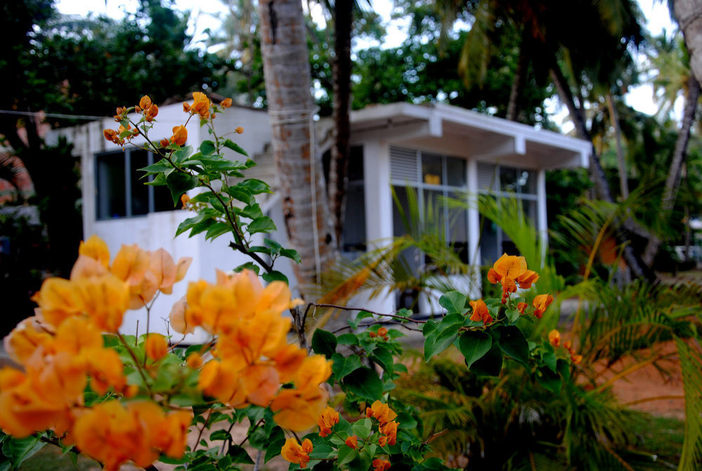 Ever Green Mirissa Exterior foto