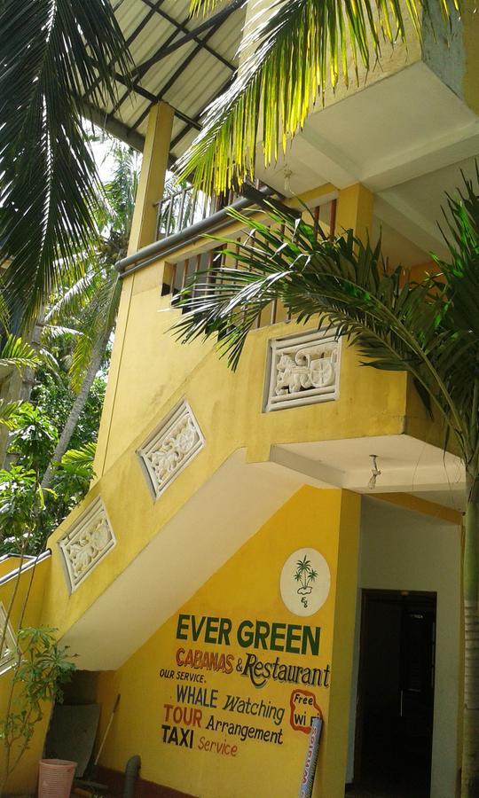 Ever Green Mirissa Quarto foto