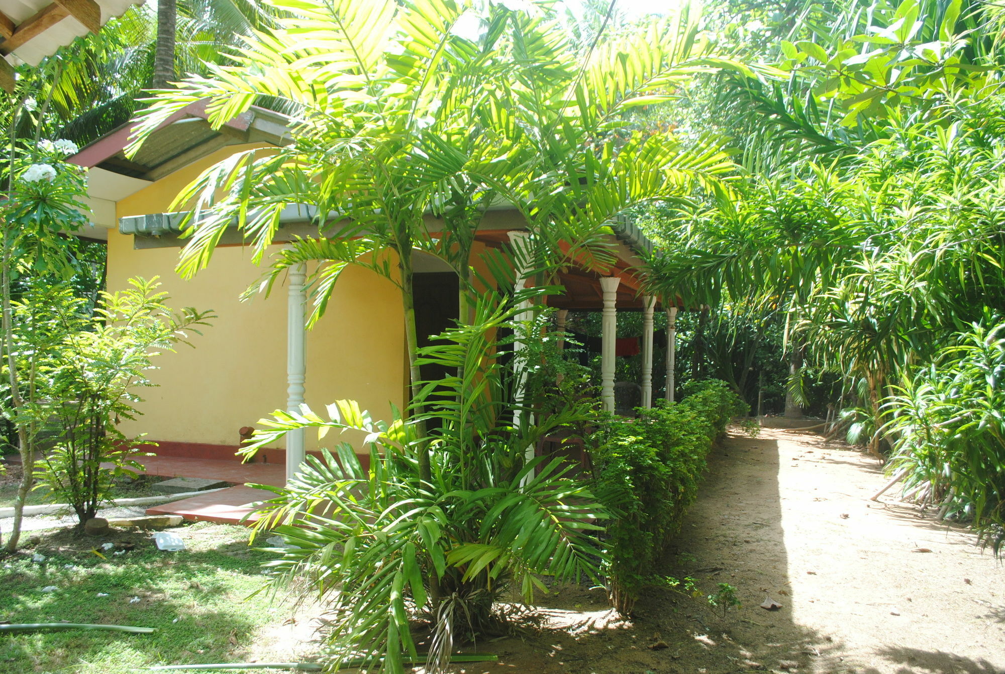 Ever Green Mirissa Exterior foto